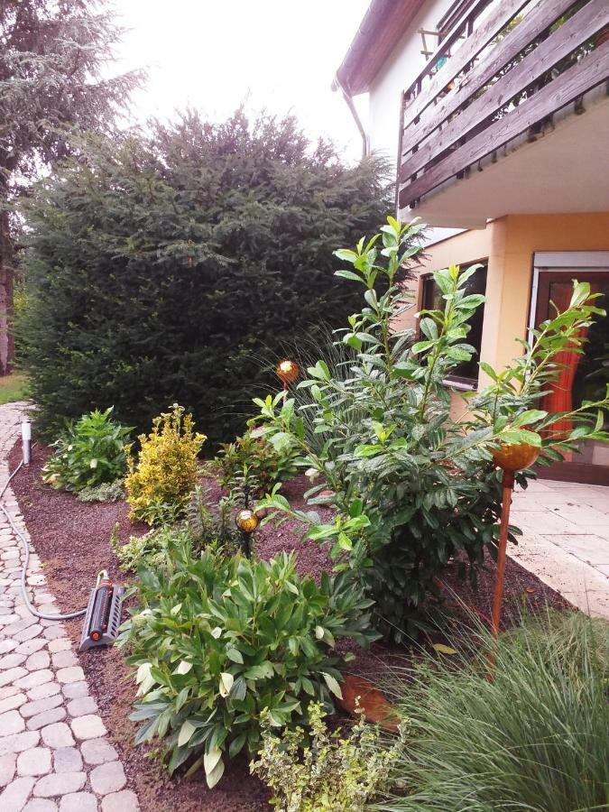 Ferienwohnung Im Rottal Oberrot Zewnętrze zdjęcie